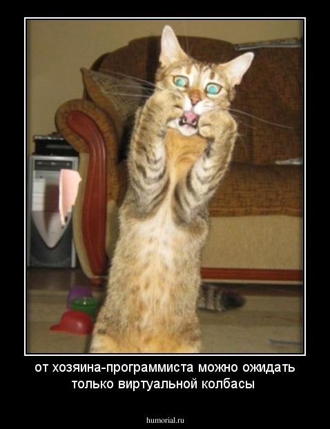 от хозяина-программиста можно ожидать только виртуальной колбасы