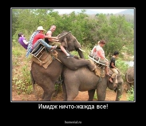 Имидж ничто-жажда все!