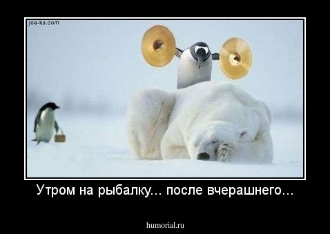 Утром на рыбалку... после вчерашнего...