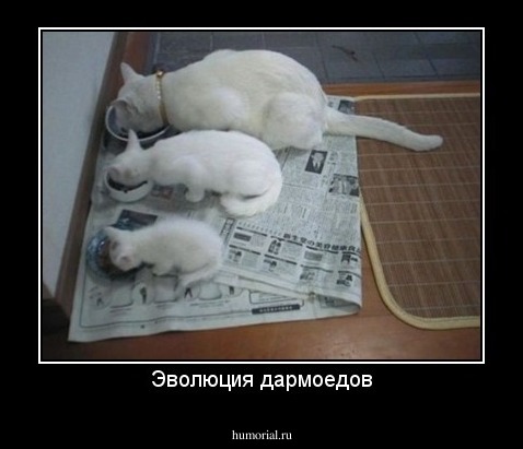 Эволюция дармоедов