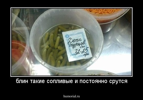 блин такие сопливые и постоянно срутся