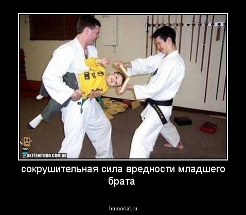 сокрушительная сила вредности младшего брата 