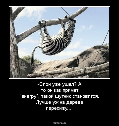 -Слон уже ушел? А то он как примет "виагру", такой шутник становится. Лучше уж на дереве пересижу...