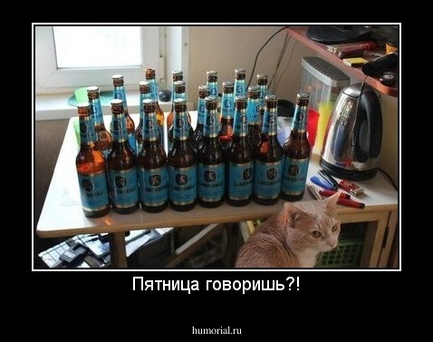 Пятница говоришь?!