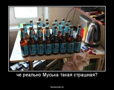 че реально Муська такая страшная?