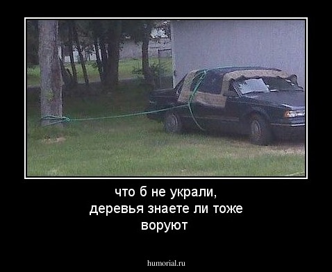 что б не украли, деревья знаете ли тоже воруют