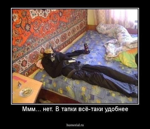 Ммм... нет. В тапки всё-таки удобнее