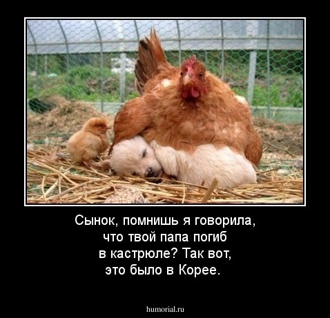 Сынок, помнишь я говорила, что твой папа погиб в кастрюле? Так вот, это было в Корее. 
