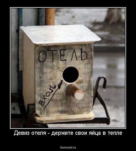 Девиз отеля - держите свои яйца в тепле