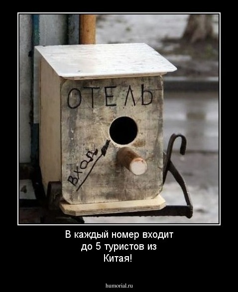 В каждый номер входит до 5 туристов из Китая!