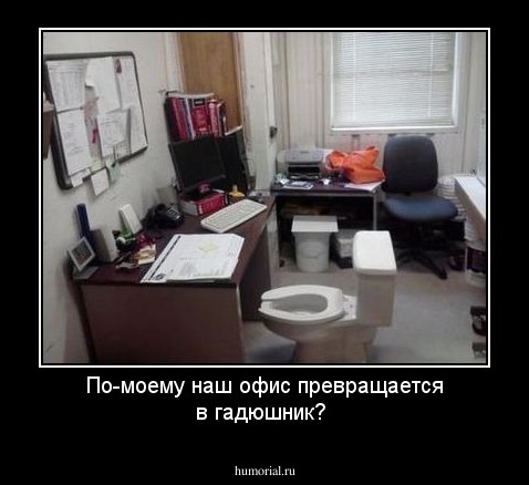 По-моему наш офис превращается в гадюшник? 