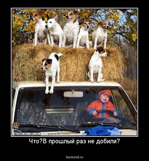 Что?В прошлый раз не добили?