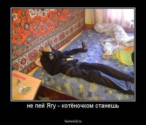 не пей Ягу - котёночком станешь
