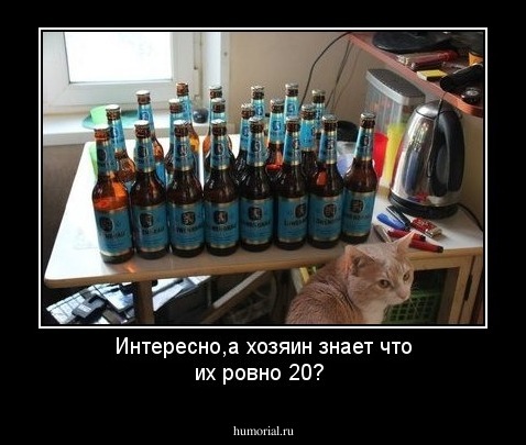 Интересно,а хозяин знает что их ровно 20?