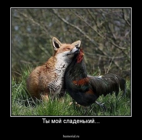 Ты мой сладенький...