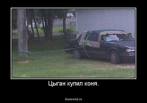 Цыган купил коня.