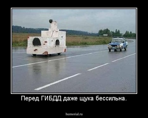 Перед ГИБДД даже щука бессильна.