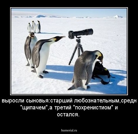 И выросли сыновья:старший любознательным,средний "щипачем",а третий "похренистиом" и остался.