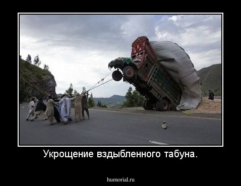 Укрощение вздыбленного табуна.