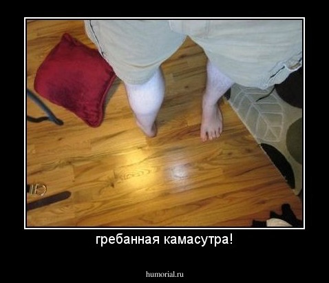 гребанная камасутра!
