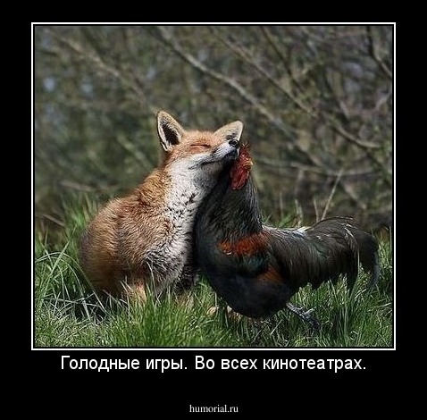 Голодные игры. Во всех кинотеатрах.