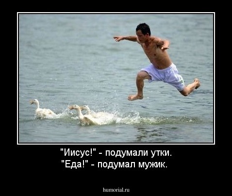 "Иисус!" - подумали утки.
"Еда!" - подумал мужик.
