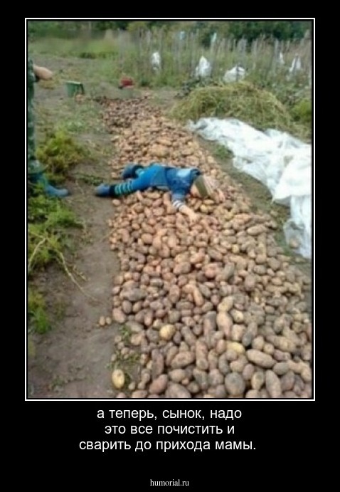а теперь, сынок, надо это все почистить и сварить до прихода мамы. 