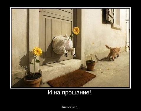 И на прощание! 