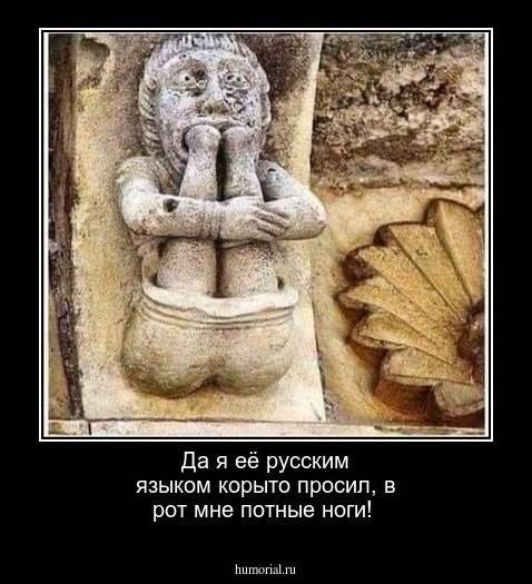 Да я её русским языком корыто просил, в рот мне потные ноги!