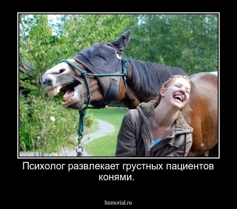 Психолог развлекает грустных пациентов конями.