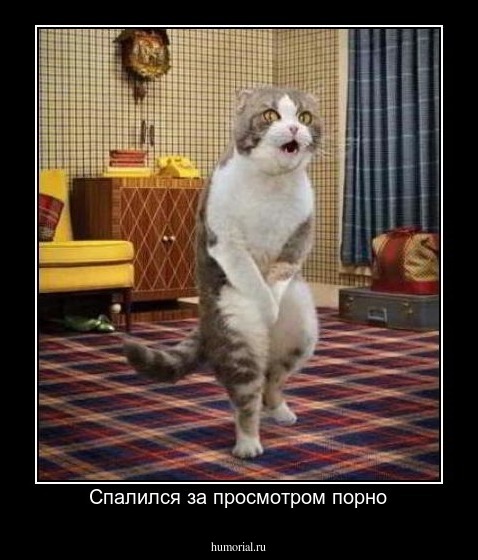 Спалился за просмотром порно