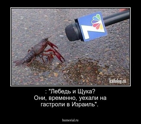 : "Лебедь и Щука? Они, временно, уехали на гастроли в Израиль". 