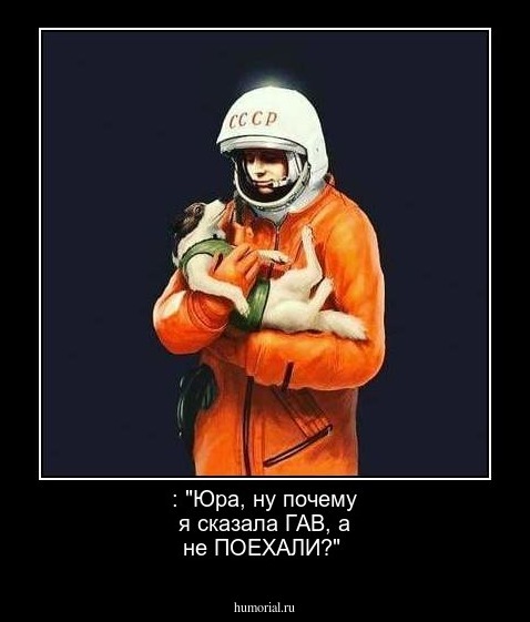  : "Юра, ну почему я сказала ГАВ, а не ПОЕХАЛИ?"
