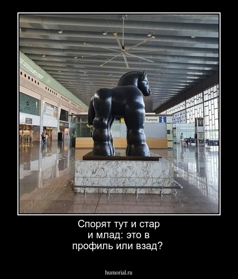 Спорят тут и стар и млад: это в профиль или взад?