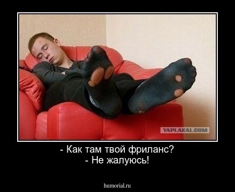 - Как там твой фриланс?
- Не жалуюсь!