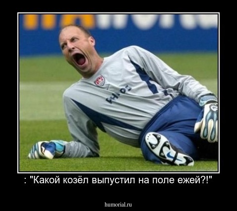 : "Какой козёл выпустил на поле ежей?!"
