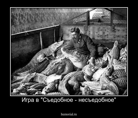 Игра в "Съедобное - несъедобное"