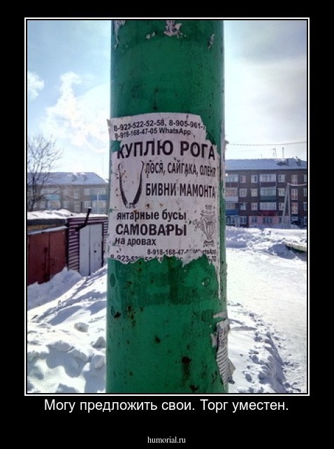  Могу предложить свои. Торг уместен.