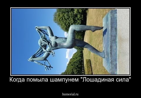 Когда помыла шампунем "Лошадиная сила"