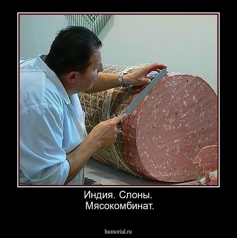 Индия. Слоны.
 Мясокомбинат.