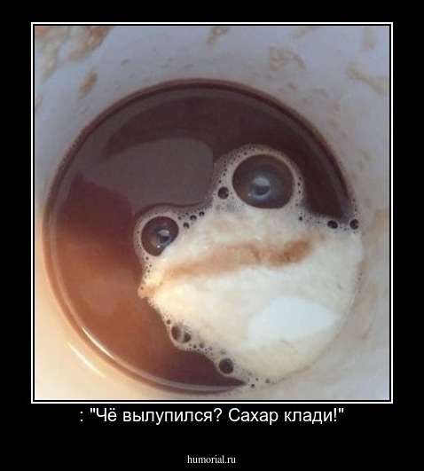  : "Чё вылупился? Сахар клади!"