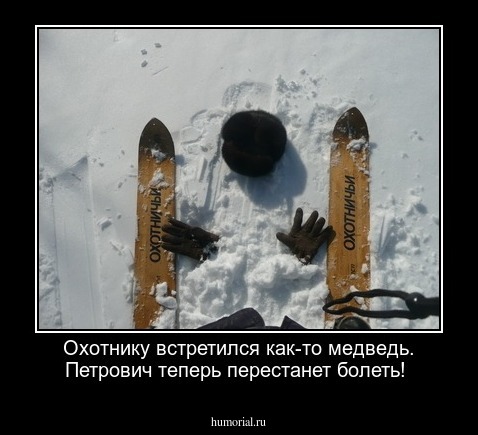 Охотнику  встретился как-то медведь. Петрович теперь перестанет  болеть!