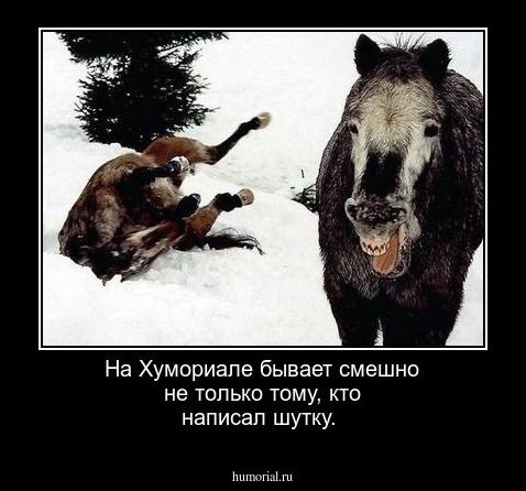 На Хумориале бывает смешно не только тому, кто написал шутку.