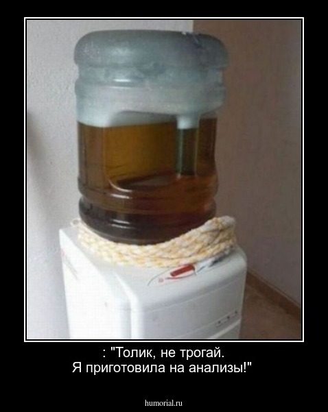 : "Толик, не трогай. Я приготовила на анализы!"