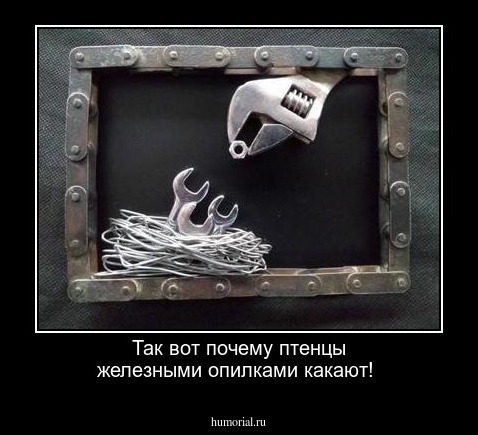 Так вот почему птенцы железными опилками какают!