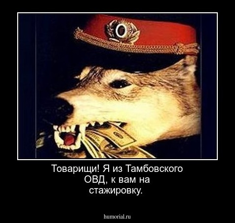  Товарищи! Я из Тамбовского ОВД, к вам на стажировку.