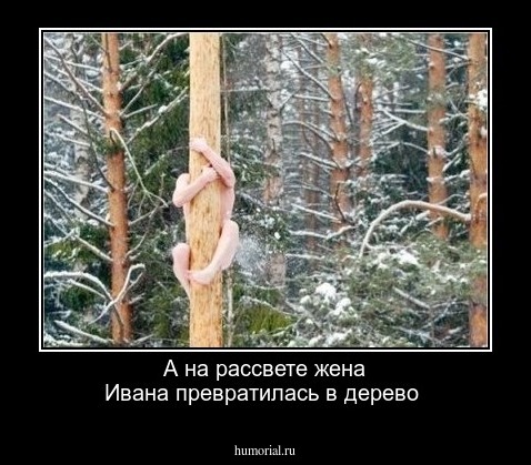 А на рассвете жена Ивана превратилась в дерево