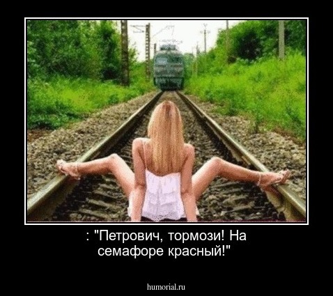  : "Петрович, тормози! На семафоре красный!"