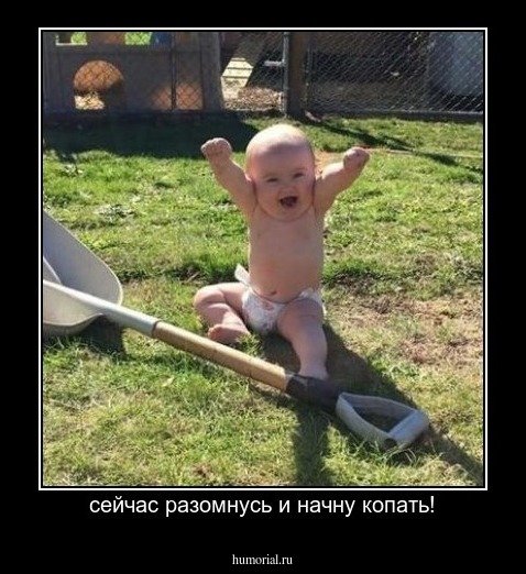 сейчас разомнусь и начну копать!