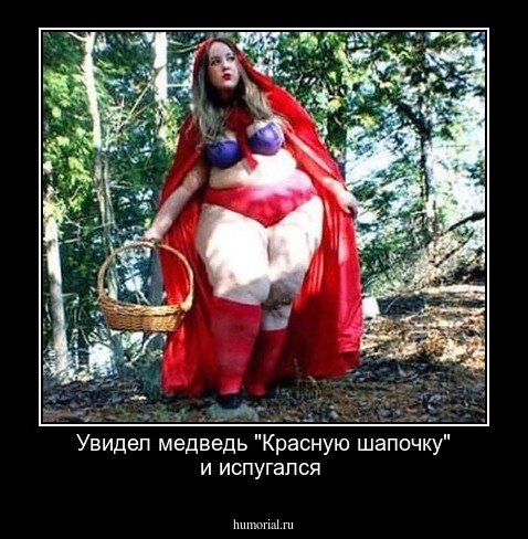 Увидел медведь "Красную шапочку" и испугался 